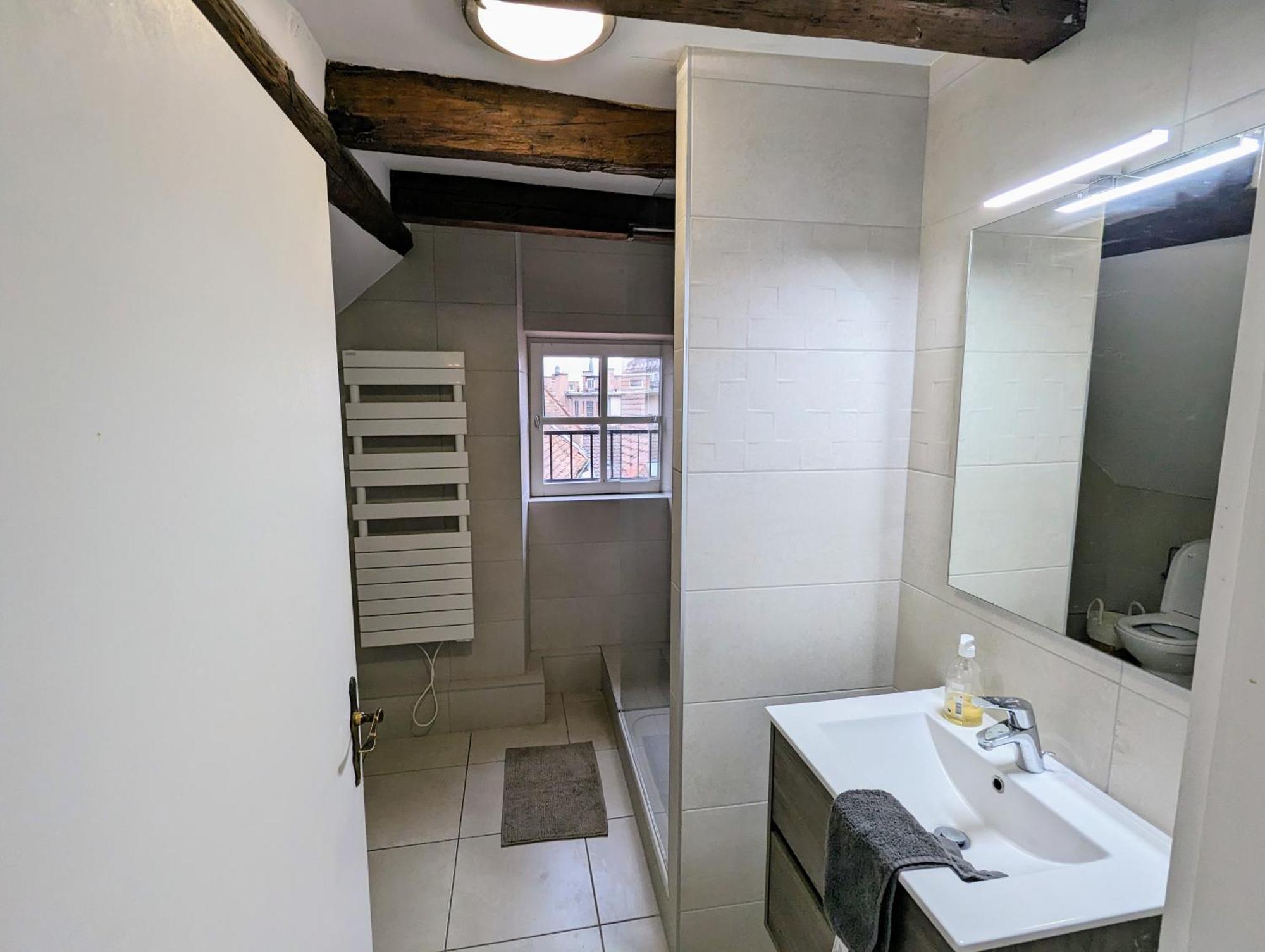 Appartement Des Serruriers Στρασβούργο Εξωτερικό φωτογραφία