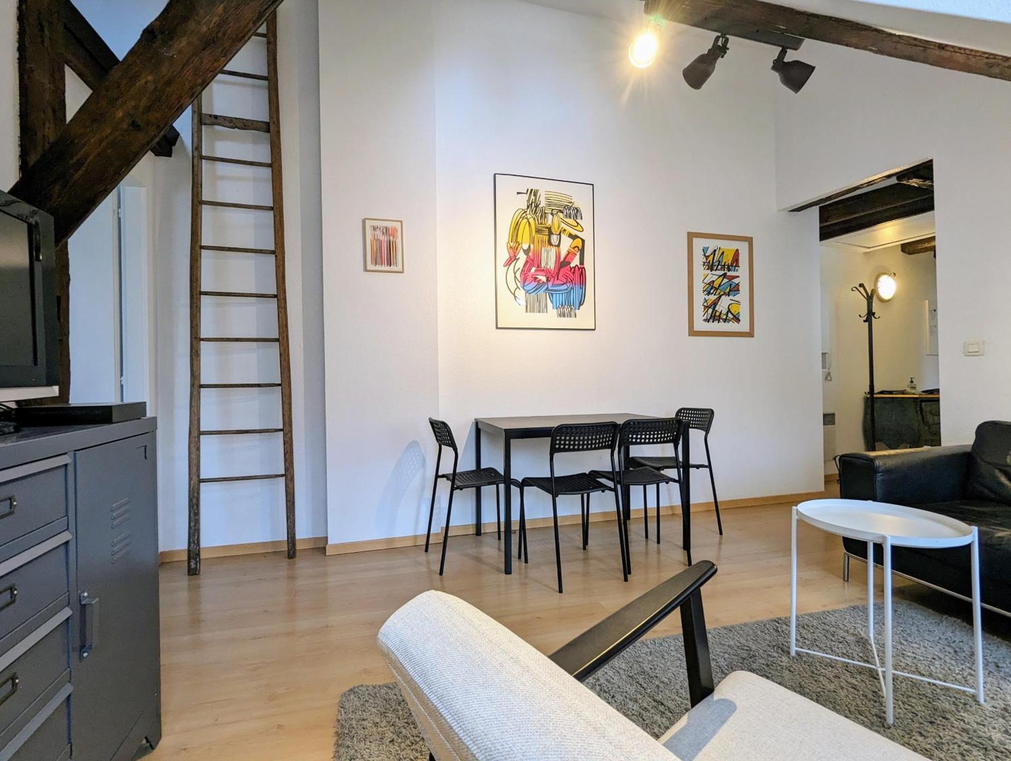 Appartement Des Serruriers Στρασβούργο Εξωτερικό φωτογραφία