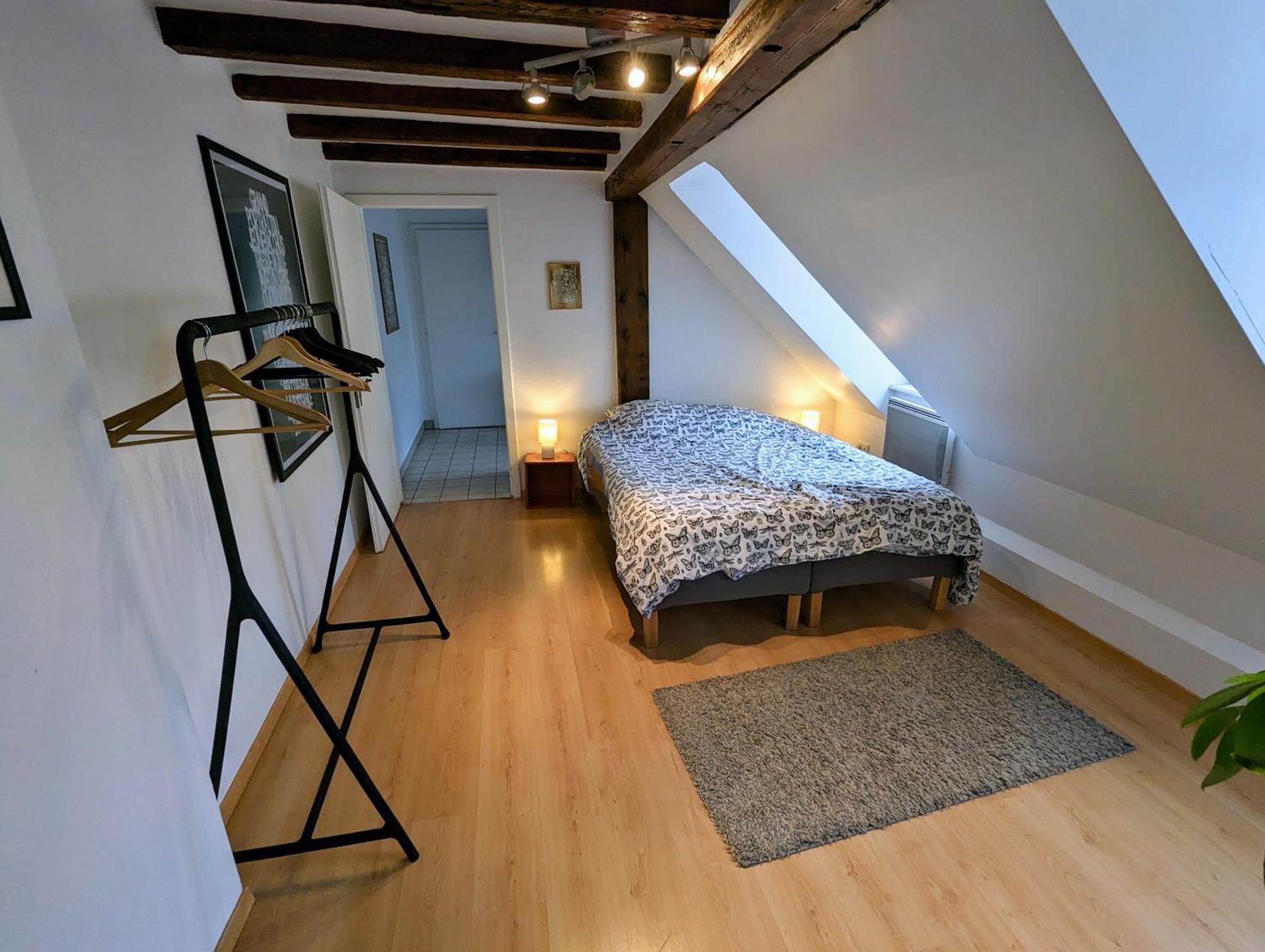 Appartement Des Serruriers Στρασβούργο Εξωτερικό φωτογραφία