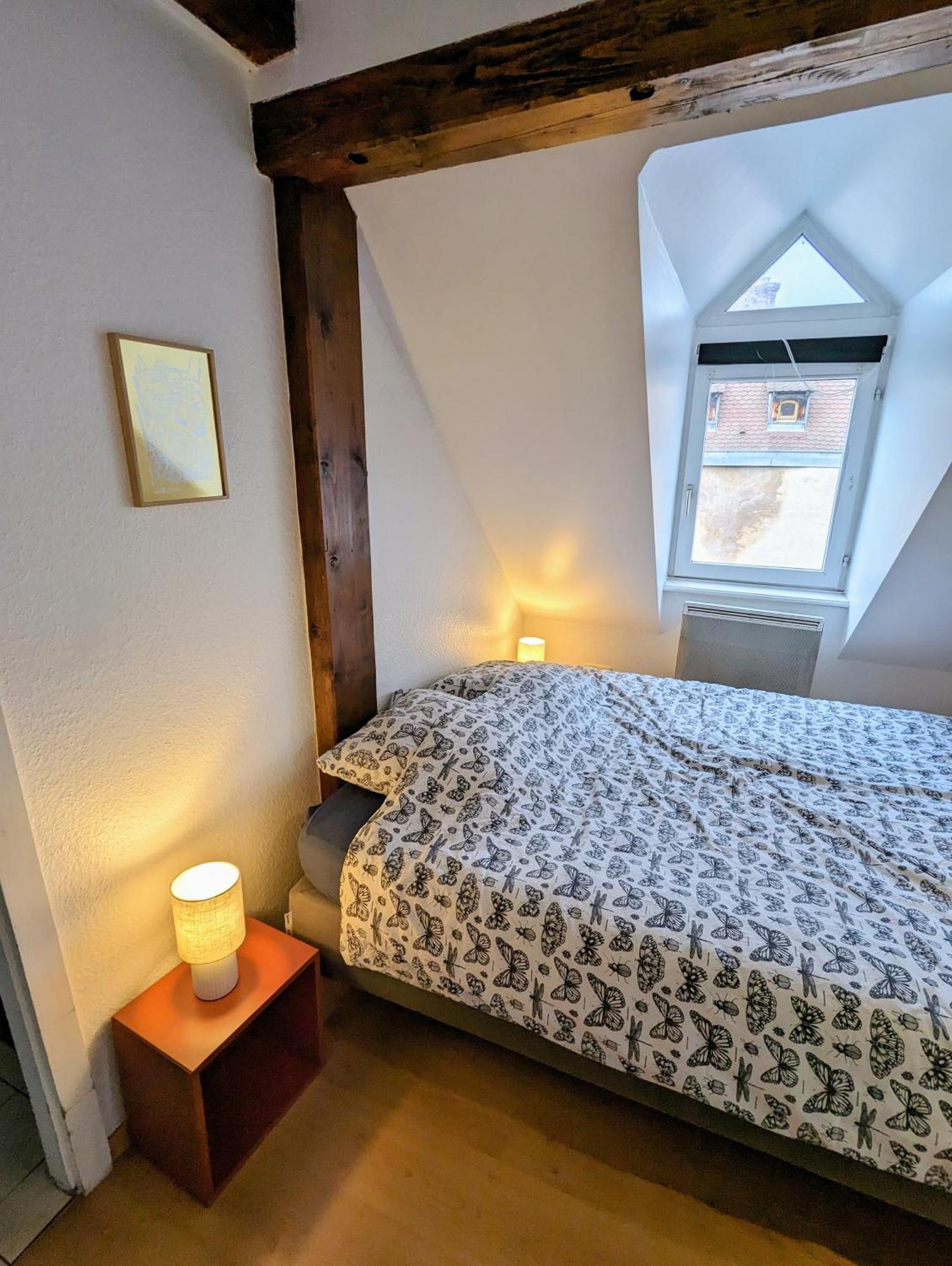 Appartement Des Serruriers Στρασβούργο Εξωτερικό φωτογραφία