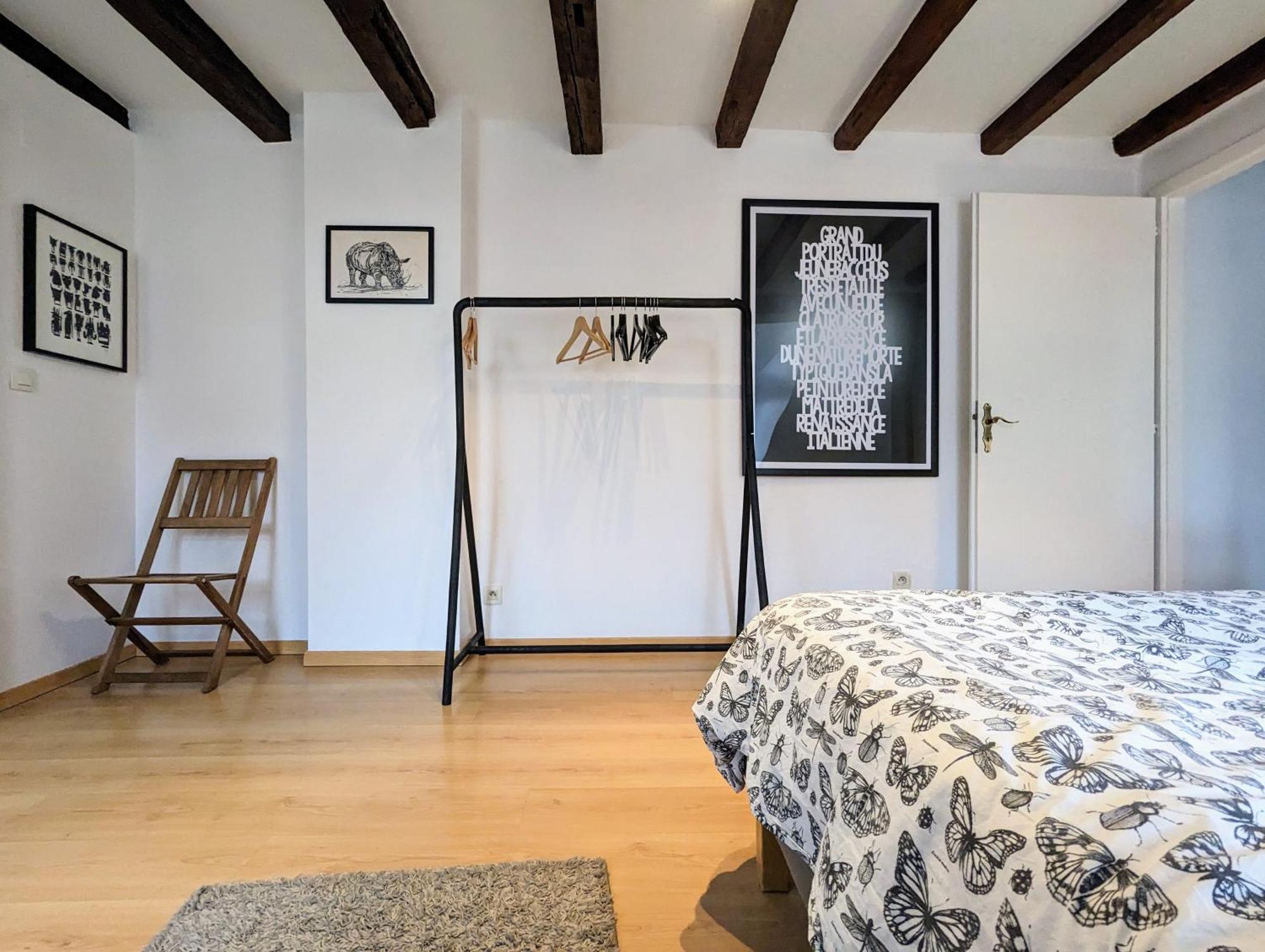 Appartement Des Serruriers Στρασβούργο Εξωτερικό φωτογραφία