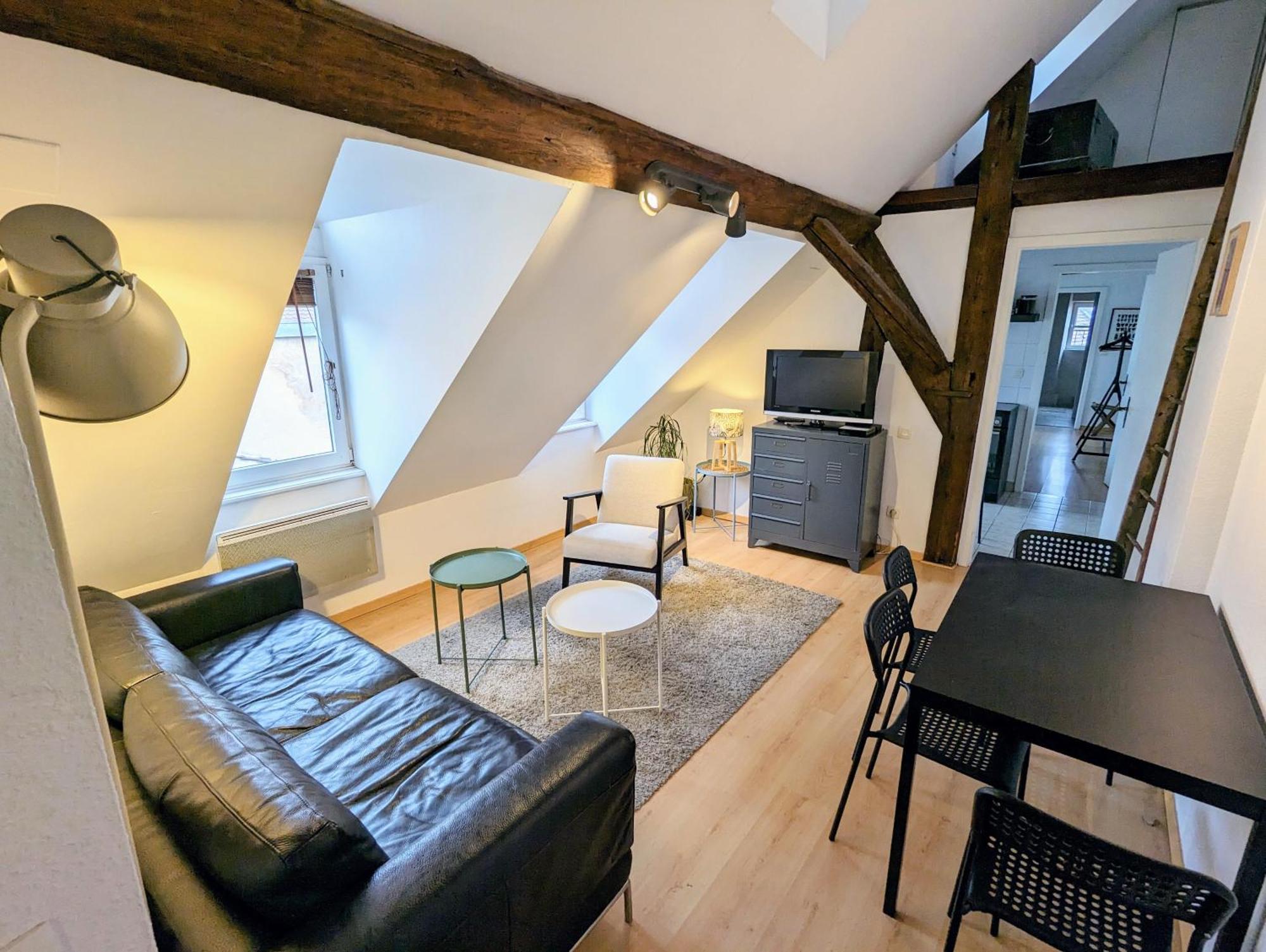 Appartement Des Serruriers Στρασβούργο Εξωτερικό φωτογραφία